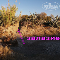 фото из отзыва ID 1663413