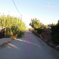 фото из отзыва ID 1663413