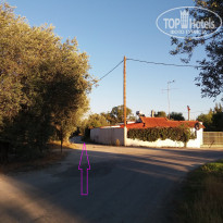 фото из отзыва ID 1663413