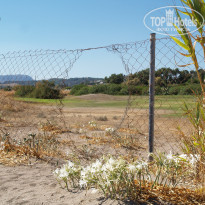 фото из отзыва ID 1663413