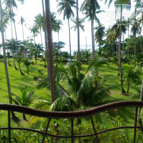 фото из отзыва ID 1662173