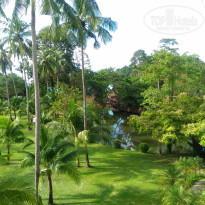 фото из отзыва ID 1662173