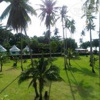 фото из отзыва ID 1662173