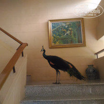 фото из отзыва ID 1662173