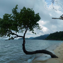 фото из отзыва ID 1662173