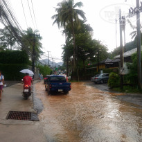 фото из отзыва ID 1662173