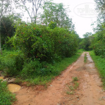 фото из отзыва ID 1662173