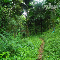 фото из отзыва ID 1662173