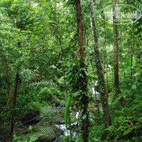 фото из отзыва ID 1662173