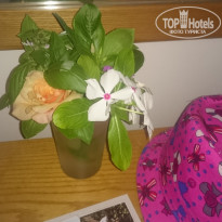 фото из отзыва ID 1663554