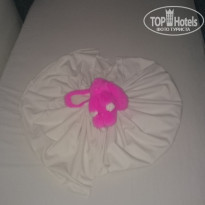 фото из отзыва ID 1663554