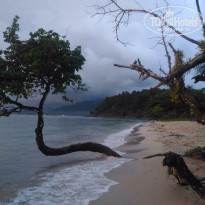 фото из отзыва ID 1662173