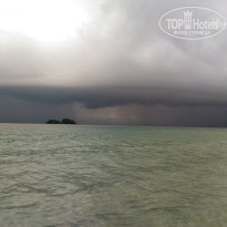 фото из отзыва ID 1662173