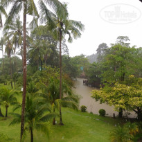 фото из отзыва ID 1662173