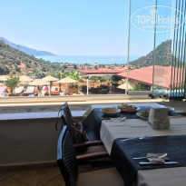 фото из отзыва ID 1663599