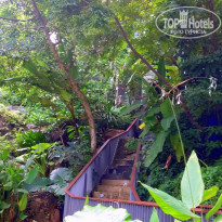 фото из отзыва ID 1663776