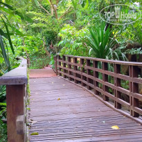 фото из отзыва ID 1663776