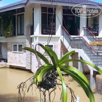 фото из отзыва ID 1663776