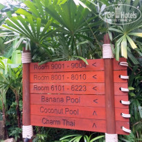 фото из отзыва ID 1663776