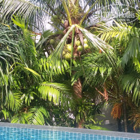 фото из отзыва ID 1663776