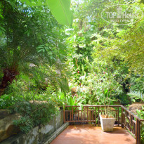 фото из отзыва ID 1663776