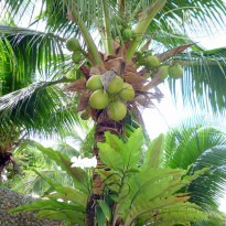 фото из отзыва ID 1663776