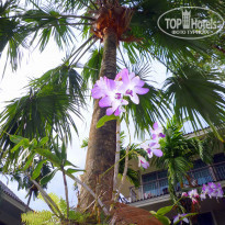 фото из отзыва ID 1663776