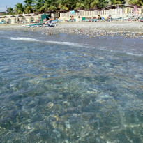 фото из отзыва ID 1663789