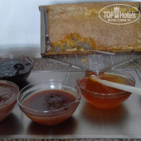 фото из отзыва ID 1663807