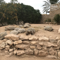 фото из отзыва ID 1663857