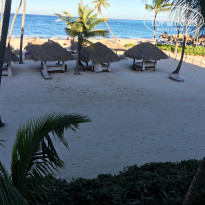 фото из отзыва ID 1663893