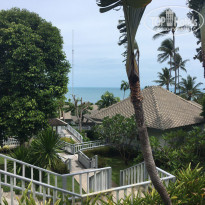 фото из отзыва ID 1663897