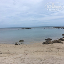 фото из отзыва ID 1663897