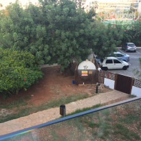 фото из отзыва ID 1663920