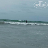 фото из отзыва ID 1664019