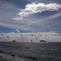 фото из отзыва ID 1662173