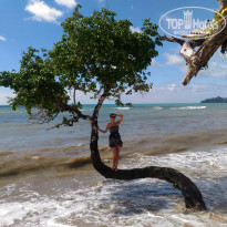 фото из отзыва ID 1662173