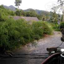 фото из отзыва ID 1662173