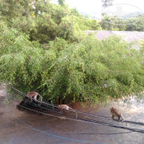 фото из отзыва ID 1662173