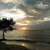 фото из отзыва ID 1662173