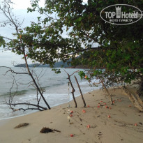 фото из отзыва ID 1662173