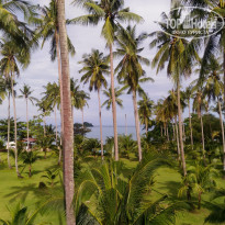 фото из отзыва ID 1662173