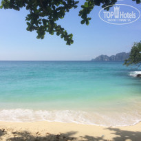 фото из отзыва ID 1664179