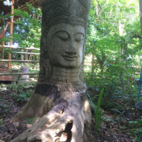 фото из отзыва ID 1664179