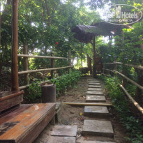 фото из отзыва ID 1664179