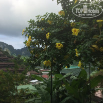 фото из отзыва ID 1664179