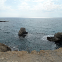 фото из отзыва ID 1664199