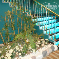 фото из отзыва ID 1664087