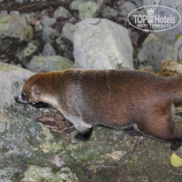 фото из отзыва ID 1664252