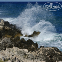 фото из отзыва ID 1663004